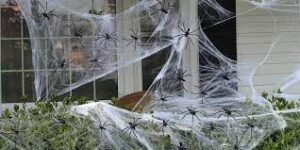Fake spider web