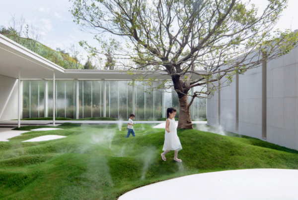 Behind the Blueprint: How a Landscape Design Architect Plans Your Perfect Yard