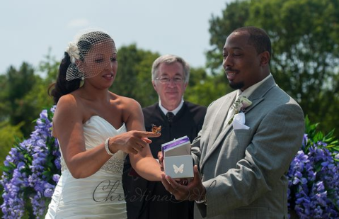 Use Butterflies Release for Weddings as a Highlight in Wedding Videos